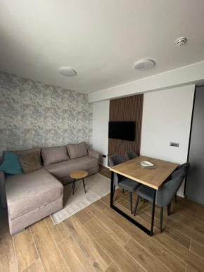 Apartment 7 Hills, Kopaonik